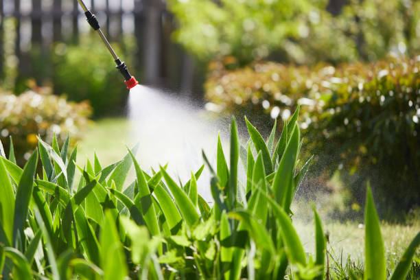 24/7 Emergency Wasp Removal experts in Egypt, AL