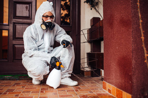 Reliable Wasp Removal contractor in Egypt, AL by Show Me Pest Control